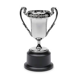trophy.jpg